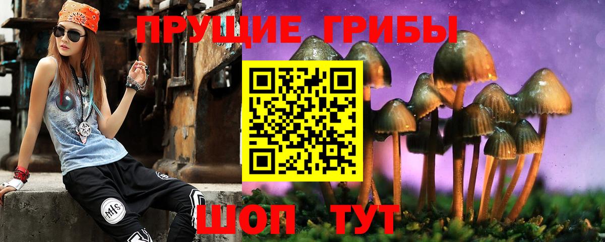 Псилоцибиновые грибы MAGIC MUSHROOMS Славянск-на-Кубани