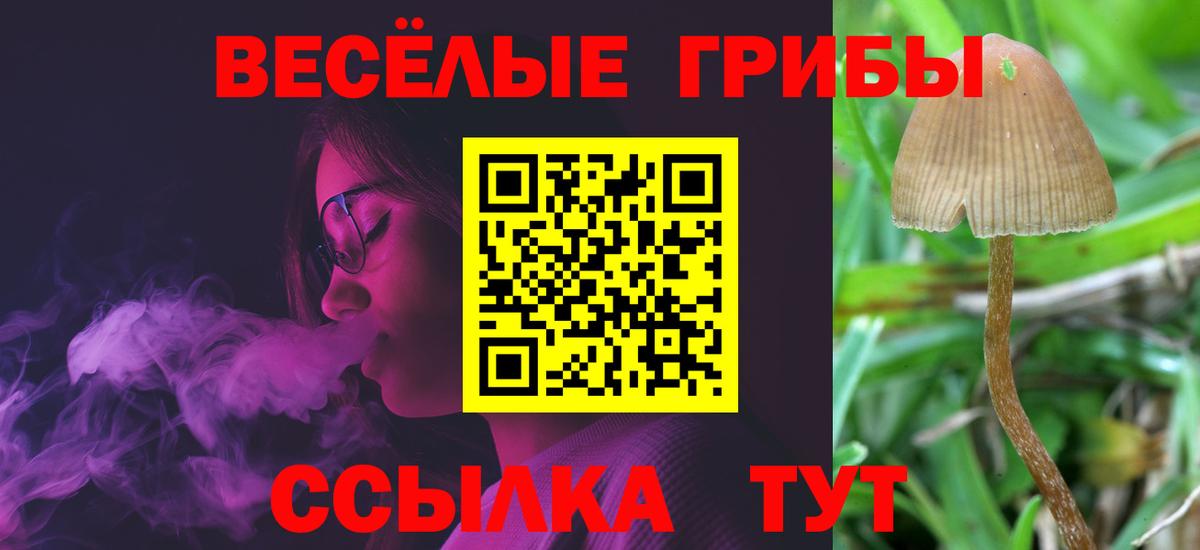 Славянск-на-Кубани  Псилоцибиновые грибы MAGIC MUSHROOMS  Вход с VPN  Галлюциногенные грибы мухоморы 